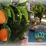 Bed & Breakfast Cristina 4*